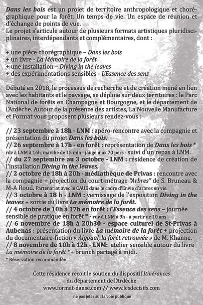 flyer verso Dans les bois.jpg